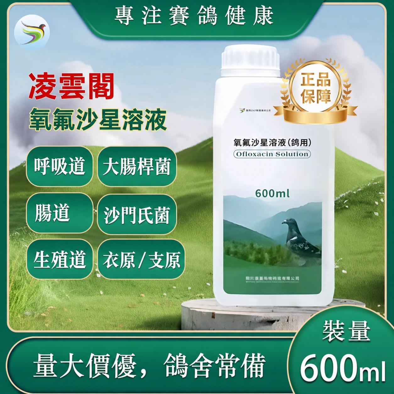 氧氟沙星溶液－大容量 600ml／瓶